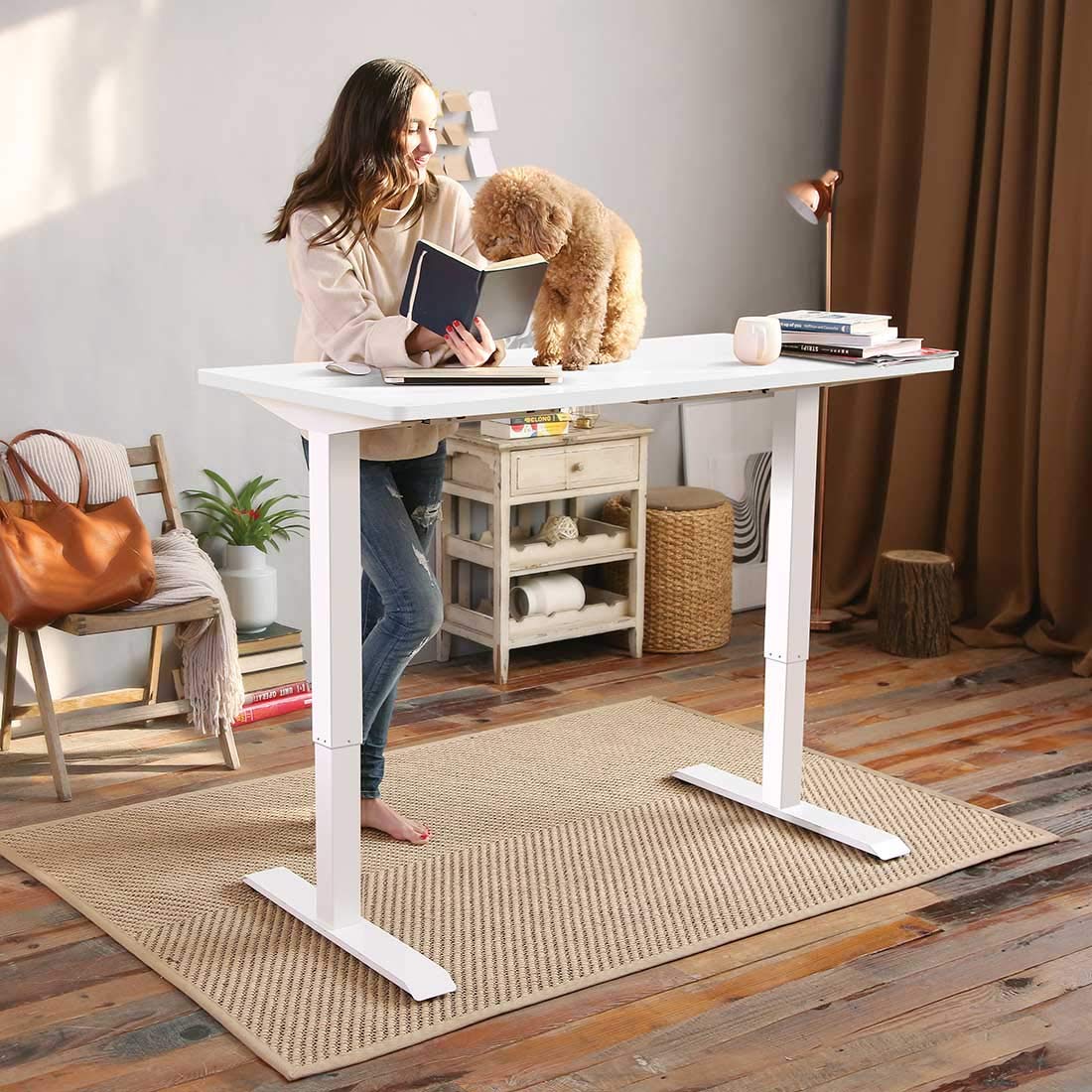 Flexispot Electric Stand Up Desk Workstation with Desktop, 48 x 30 Inches Whole-Piece Desk Ergonomic Memory Controller Standing Desk Height Adjustable (White Frame + 48" White Top)