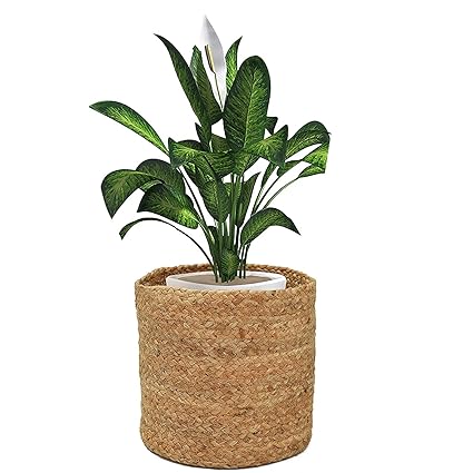 PRINTSHOPPIE Large Jute Planter Basket, Hand Woven Round Plain Floral Pot Bag Cover for Indoor, Office Desk Plants, Home Decor, Balcony, Terrace Planter Basket (10 x 10 Inch Set of 2)