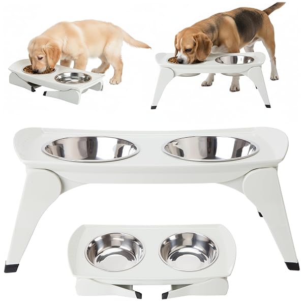 MALSIPREE ELEVATED DOG BOWLS FOR SMALL DOGS –...