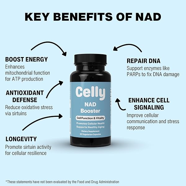 CELLY NAD BOOSTER | LONGEVITY SUPPLEMENT FOR HEALTHY AGING WITH NR (NICOTINAMIDE RIBOSIDE) AND NICOTINAMIDE | PROMOTES CELL FUNCTION & VITALITY | NON-GMO & 3RD PARTY TESTED