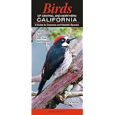 Birds of Central &amp; Northern California: A Guide to Common &amp; Notable Species