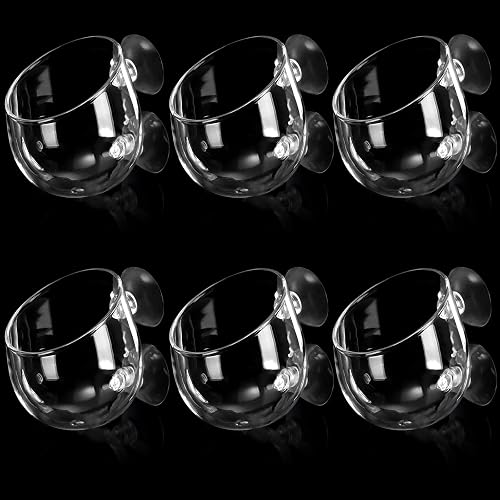Hiceeden 6 Pack Aquatic Plant Cup with 2 Suction Cup, Crystal Glass Aquarium Plant Pot Holder, Red Worm Cups for Fish Tank Aquascape Decor