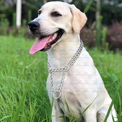 martingale pinch dog collar