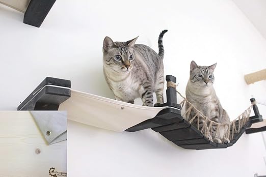 CatastrophiCreations Wandbrücke Liegestuhl für Katzen