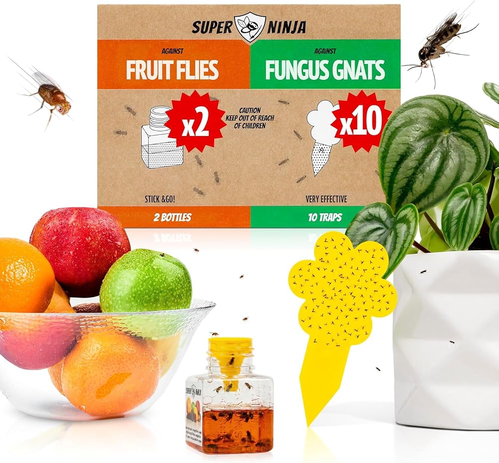 Super Ninja Fruit Fly Trap & Fungus Gnat Killer Combo 2 + 10 Traps