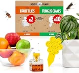 Super Ninja Fruit Fly Trap & Fungus Gnat Killer Combo 2 + 10 Traps