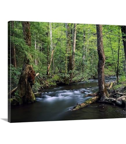 Amazon.com: Crossing the Ohio River Photography Art Poster Print