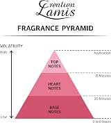 Creation Lamis Everyone Noir 100ml PDT Spray Unisex Fragrance view 4