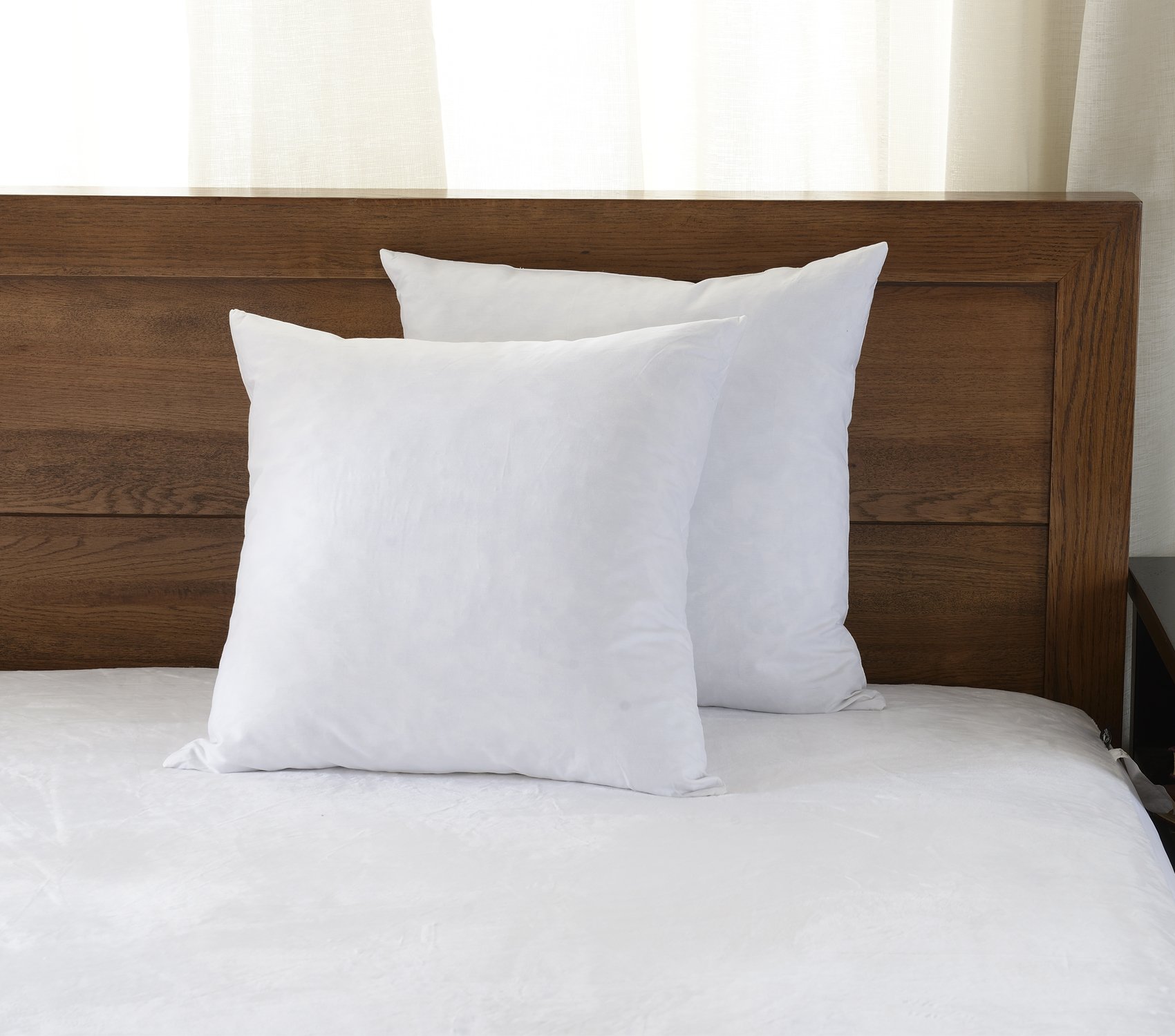 downluxe Decorative Feather Pillow Inserts (Set of 2) 20x20 Square