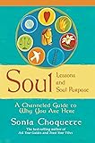 Soul Lessons and Soul Purpose: A Channeled Guide to