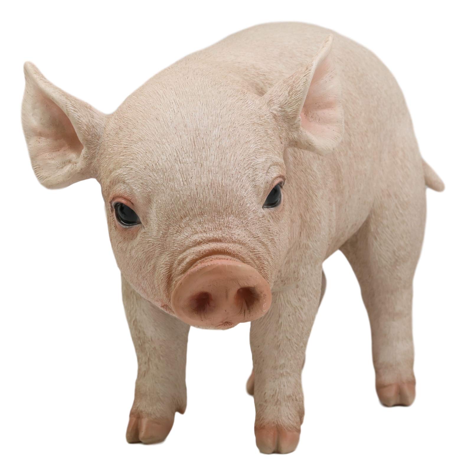 Buy Ebros Large Adorable Realistic Animal Farm Babe Pig Statue 15" Long Rustic Country Piggy
