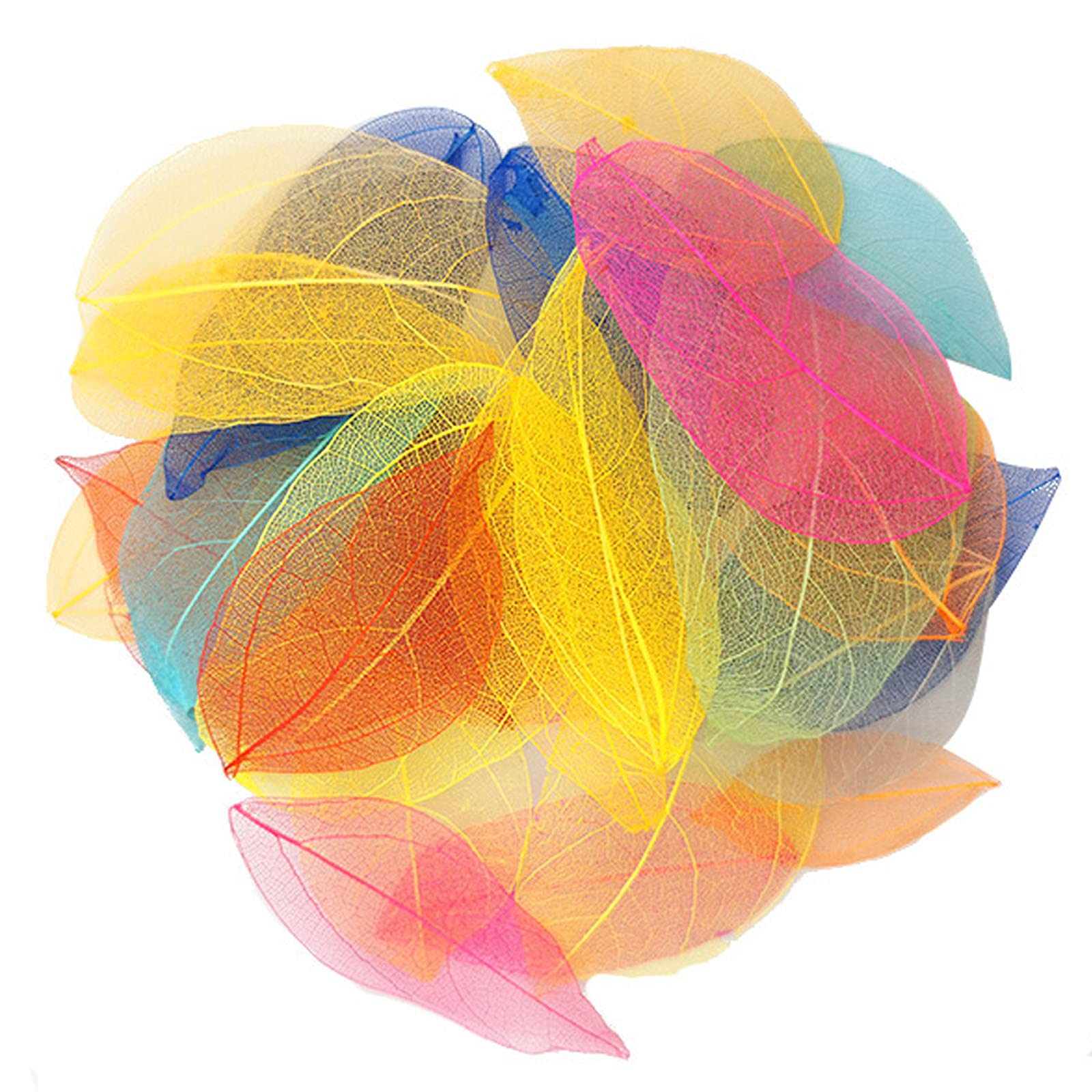 HAOBIN Natural Dry Leaves Dried Leaves Artificial Silk Leaves Decorative Leaves Craft Dry Leaves for Crafts DIY Resin Scrapbook Craft Card Making, 12 Colours, 36 Pieces