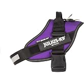 Julius-K9 IDC Powerharness, Size: M/0, Dark Purple