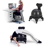 Sivan Health and Fitness Balance Fit Chair with ball and pump