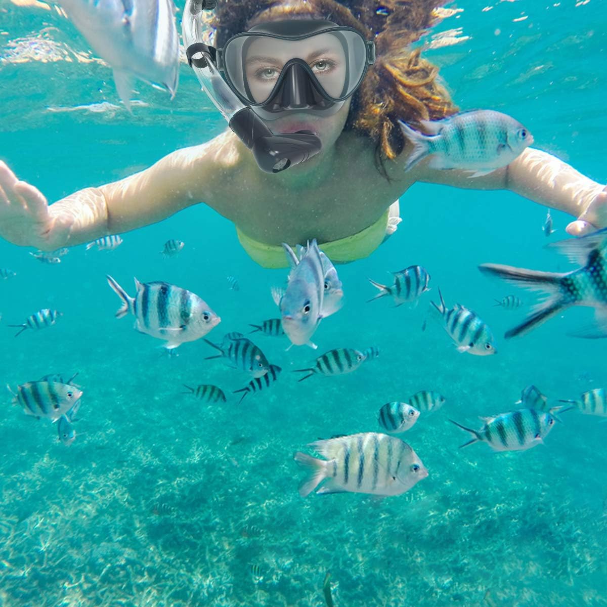 WSTOO Dry Snorkel Set, Anti Fog Snorkel Mask, 180 Degree Panoramic View Scuba Diving Mask, Snorkeling Gear for Adults : Sports & Outdoors
