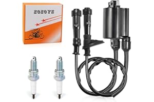 ZOZOYE Ignition Coil Pack Kit Spark Plug + Cap For Honda Shadow Spirit 750 Aero 750 ACE 750 VT750 DC C2 CA CD C 1998-2019