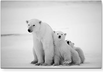 Paul Sinus Art Tableau sur Toile tendu sur Toile avec Deux gar&ccedil</div></body></html>