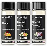 Perfume-Inspired Essential Oil Set – 3×20 ml Diffuser Oils with Floral & Woody Notes | Designer Fragrance Blends for Home, Spa & Aromatherapy - Thanksgiving & Holiday Gift