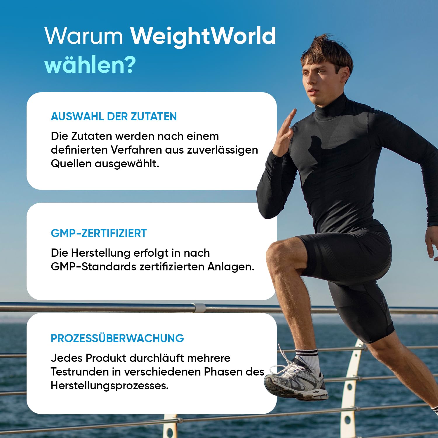 Magnesiumcitrat Kapseln gepuffert - 444mg Elementares Magnesium pro Portion - 240 Kapseln - 4 Monate Vorrat - Magnesium trägt zur Verringerung von Müdigkeit & Erschöpfung bei (EFSA) - WeightWorld 8
