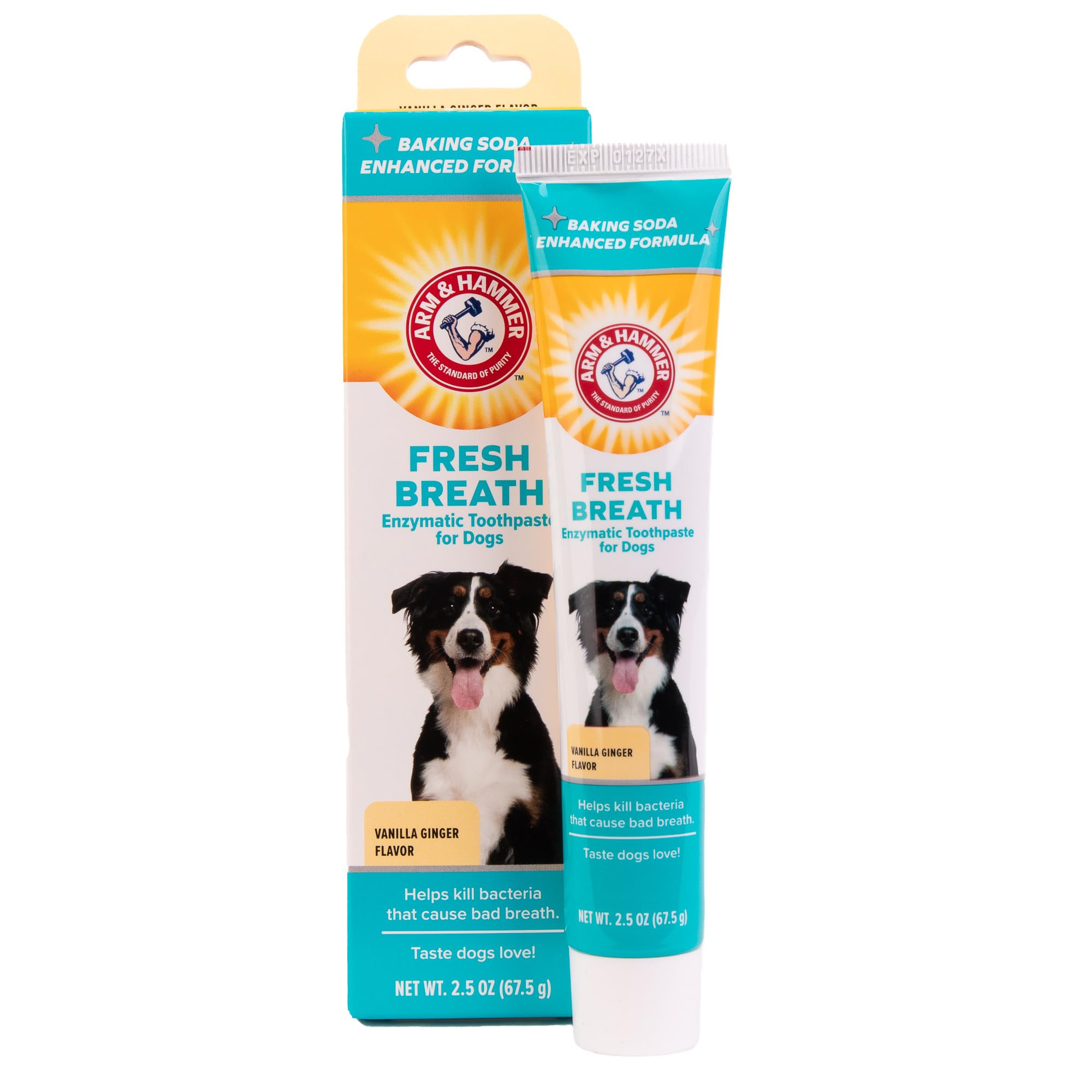 Arm & Hammer Fresh Breath Enzymatic Toothpaste for Dogs, Vanilla Ginger 67.5 g (Pack of 1)