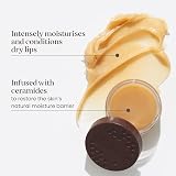 Burt's Bees Lip Mask Overnight Lip Treatment Ceramides 7.08g view 2