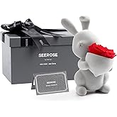 SEEROSE Preserved Roses with Cute Rabbit, Forever Real Roses Last for Years, Romantic Flower Gift for Her, Wife, Girlfriend, Valentine's Day, Mother's Day, Anniversary, Birthday (Carrot Rabbit, Red)