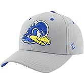 ZHATS NCAA Unisex-Adult NCAA Officially Licensed Snapback Hat Competitor Gray