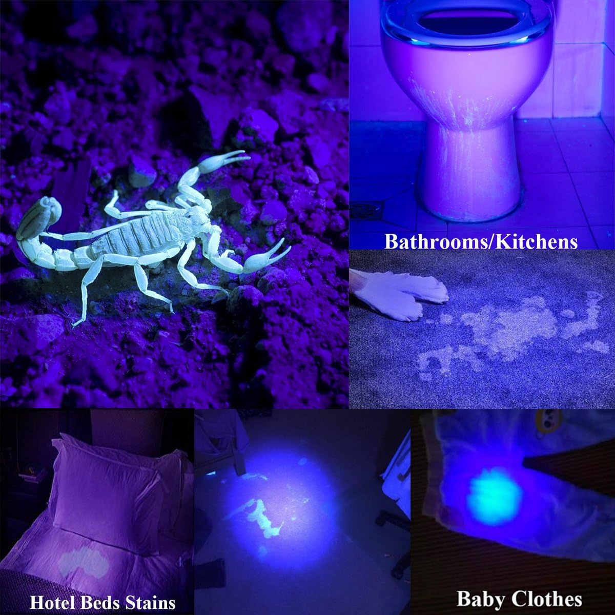 UltraFire Pocket-Sized UV Pen Flashlight Black Light - Super Bright Mini 385nm - 395nm Ultraviolet LED Detector for Dog or Cat Urine on carpet, Pet Stain & Bed Bug, Powered By 2AAA - - 