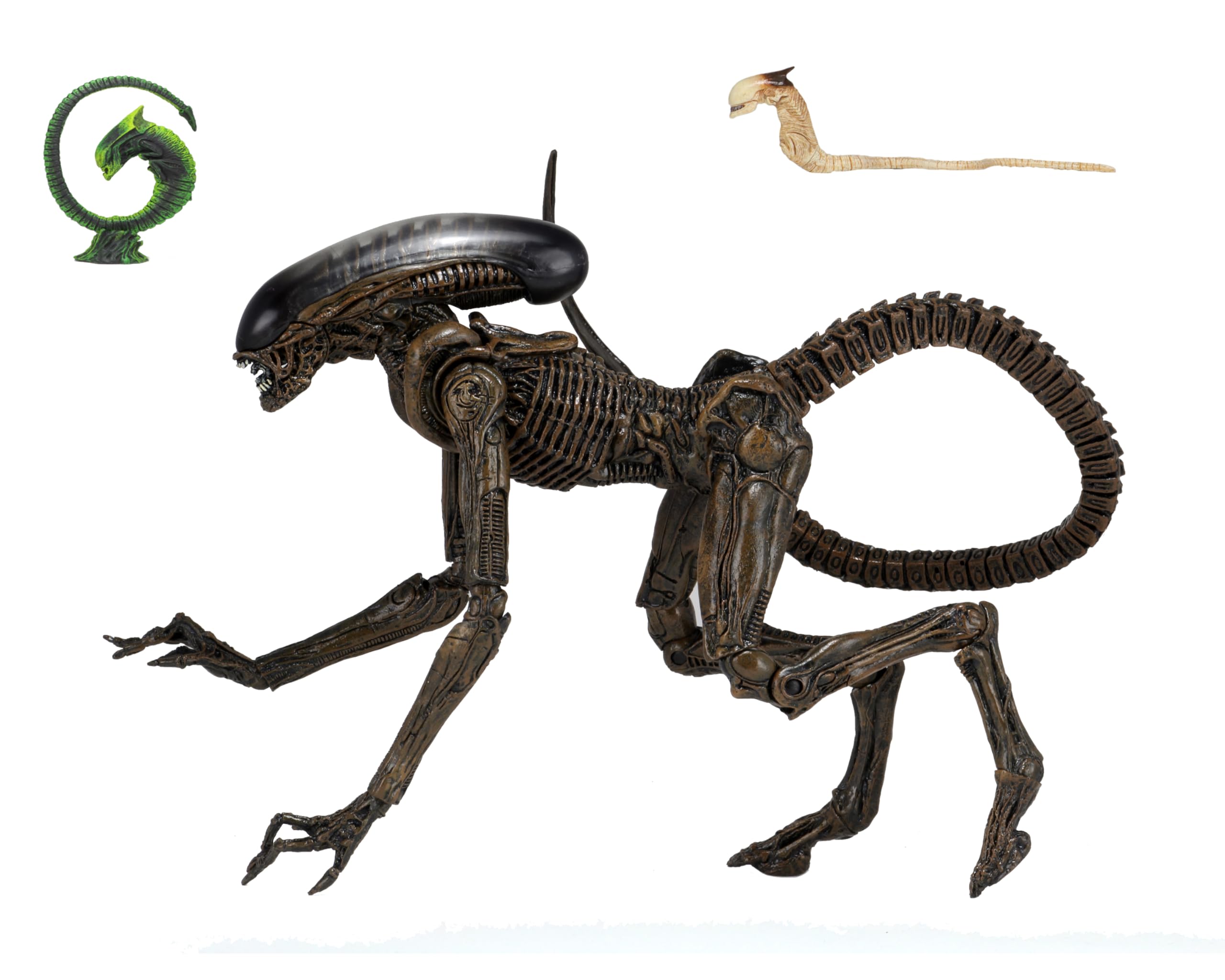 NECA 51597 Ultimate Dog Alien 7 Inch Scale Action Figure, H856645