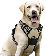 rabbitgoo Dog Harness Large No Pull Pet Vest with 2 Leash Clips Reflective