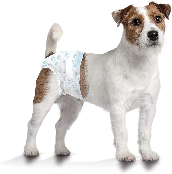 FOUR PAWS WEE-WEE SUPER ABSORBENT DISPOSABLE ADJUSTABLE DOG POTTY TRAINING DIAPERS, LEAK-PROOF PROTECTION FOR PUPPIES AND SMALL DOGS, SMALL, 12 COUNT