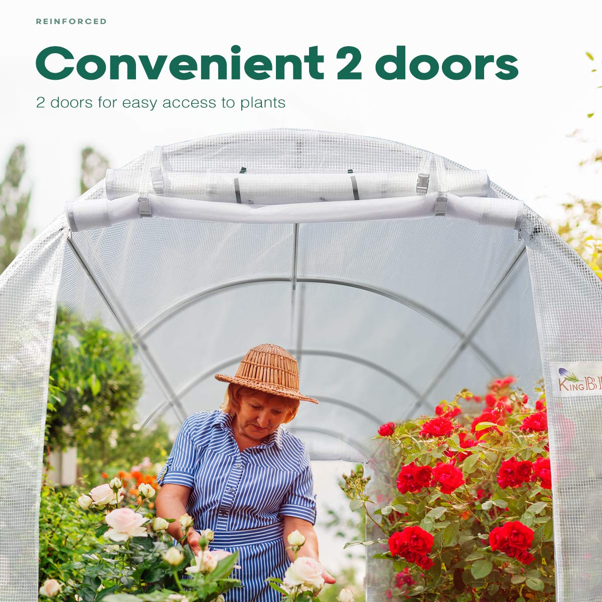 https://images-na.ssl-images-amazon.com/images/I/71ZiiFzKVBL.jpg