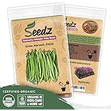 Organic Bean Seeds, APPR. 75, Kentucky Wonder Pole, Heirloom Vegetable Seeds, Certified Organic, Non GMO, Non Hybrid, USA