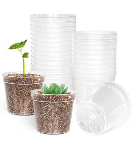 Amazon.com: 兼弥産業 Kanemi Industrial Slit Pot CSM-210 Moss Green