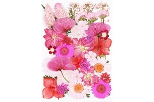 40Pcs Pink Dried Pressed Flowers for Crafts,Xinxinran Dry Flowers Kit for Resin Molds,Epoxy Resin Accessories,Bookmark,Nails, Jewelry Molds,Candle Making Supplies,Soap,Frame,Cakes