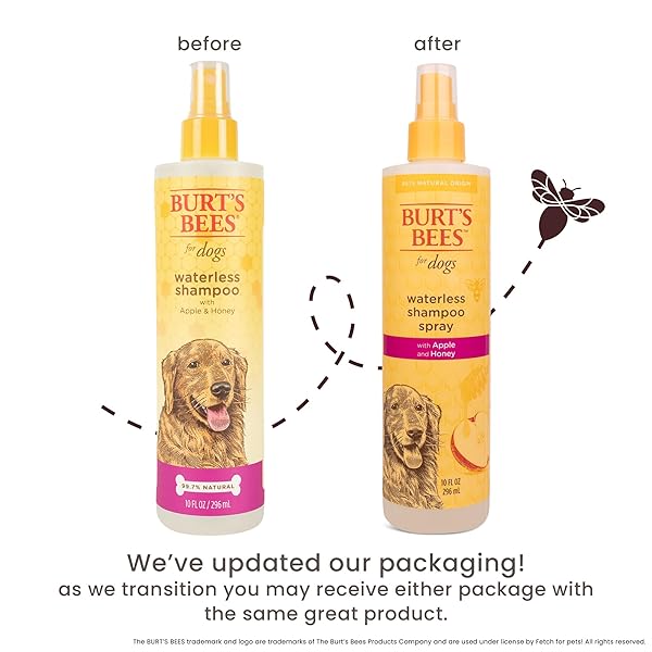 BURT’S BEES FOR PETS WATERLESS SHAMPOO SPRAY FOR DOGS WITH APPLE AND HONEY, 99.1% NATURAL ORIGIN FORMULAS, WATERLESS DOG SHAMPOO – GENTLE DRY SHAMPOO FOR DOGS, BEST DOG SHAMPOO, 10 OZ