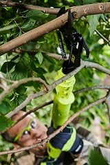 Ryobi OLP1832BX 18V ONE+ Cordless Bypass Lopper Body Only 0.75m view 6
