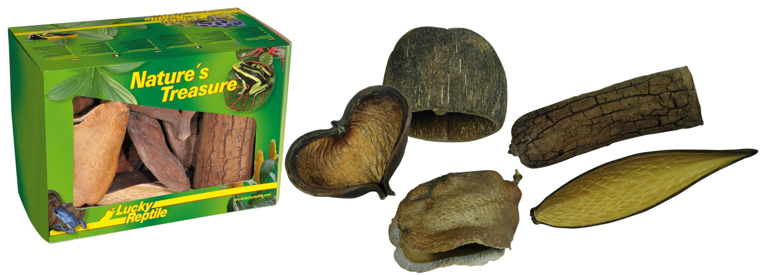 Lucky Reptile DB-01 Nature's Treasure Decor Box