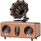 FREEFISH Retro Bluetooth Speaker Retro Radio with 5.4 Bluetooth Version, FM Radio, Bass Vintage Wireless Speaker Support USB/TF/AUX Player for Home Office Room Bedroom, Decorations