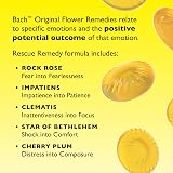 Rescue Rescue Remedy Pastilles Mint Apple Travel Tin 50g Chewable view 5