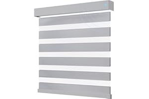 JaeJaes Smart Zebra Blinds for Windows, Alexa Motorized Blinds with Remote Control, Automatic Electric Power Zebra Shades for Indoor Windows (72" W x 72" H,Gray)