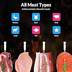 Wireless Bluetooth Meat Thermometer, Standalone