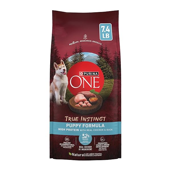 PURINA ONE TRUE INSTINCT WITH REAL CHICKEN AND...