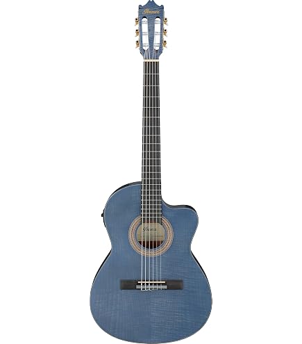 Amazon.com: Ortega TourPlayer Deluxe Thinline Crossover Nylon