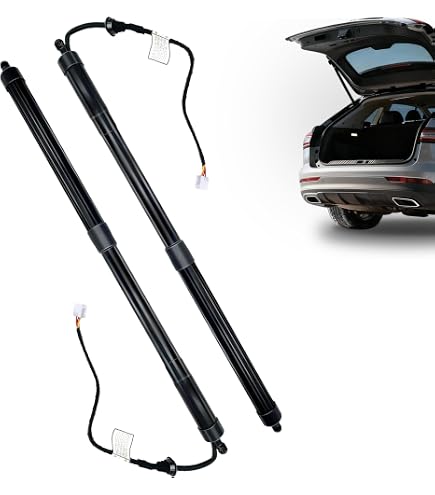 Amazon.com: BHNJUTM 1Pair Car Power Tailgate Lift Support 68910