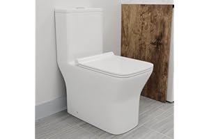 GIVINGTREE Dual Flush Elongated Standard One Piece Toilet with Comfortable Seat Height, Powerful & Quiet Dual Flush Modern Toilet, 12'' Rough-In, Glossy White，6619