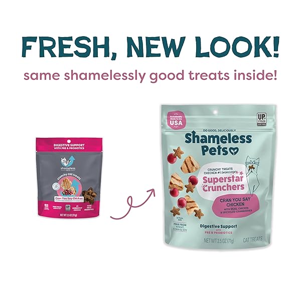 SHAMELESS PETS CRUNCHY CAT TREATS – KITTY TREATS FOR CATS WITH DIGESTIVE SUPPORT, NATURAL KITTEN TREATS WITH REAL CHICKEN, HEALTHY FLAVORED FELINE SNACKS – CRAN YOU SAY CHICKEN, 1-PK