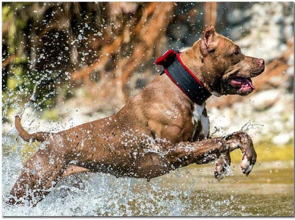 WAYATI 5D DIY Diamond Painting Full Square Round Drill American Bully Pitbull Dog Needlework Embroidery Mosaic Cross Stitch 11.8X15.8 Inch
