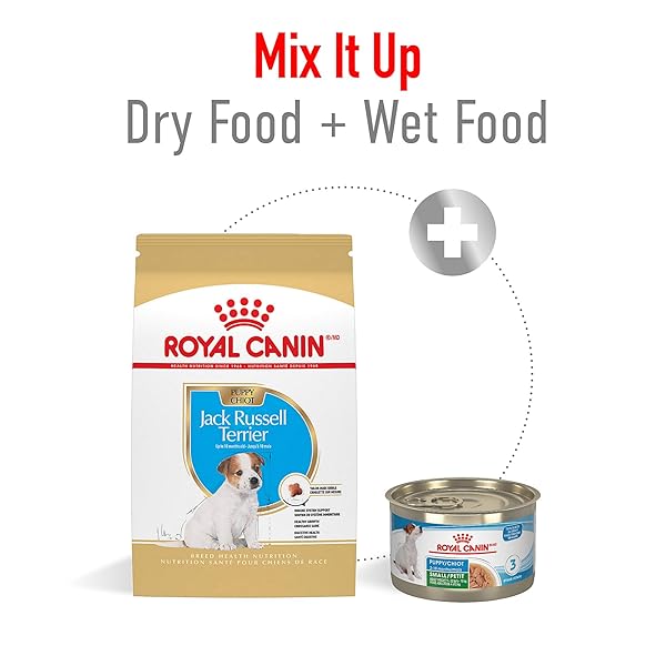 ROYAL CANIN BREED HEALTH NUTRITION JACK RUSSELL TERRIER PUPPY DRY DOG FOOD, 3 LB BAG
