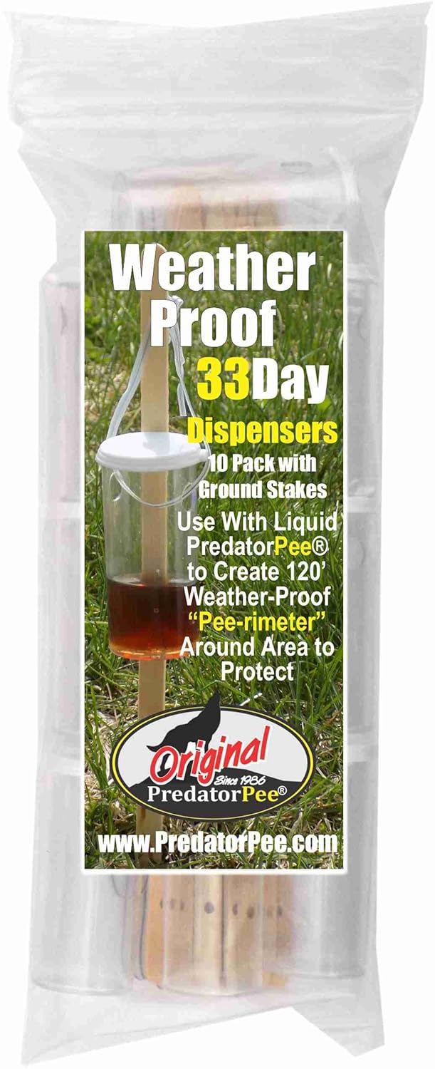 Predator Pee - 33 Day Dispensers - 10 Pack, clear bottle, 12oz Squeeze Bottle